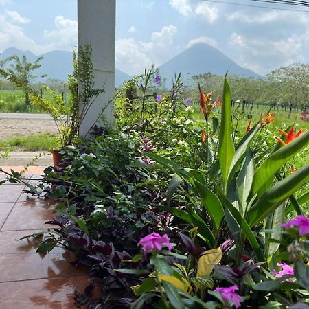 ホテル La Casa De Detours Costa Rica ラ・フォルトゥナ エクステリア 写真