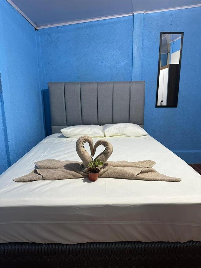 ホテル La Casa De Detours Costa Rica ラ・フォルトゥナ エクステリア 写真